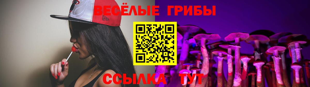 Псилоцибиновые грибы MAGIC MUSHROOMS Можайск